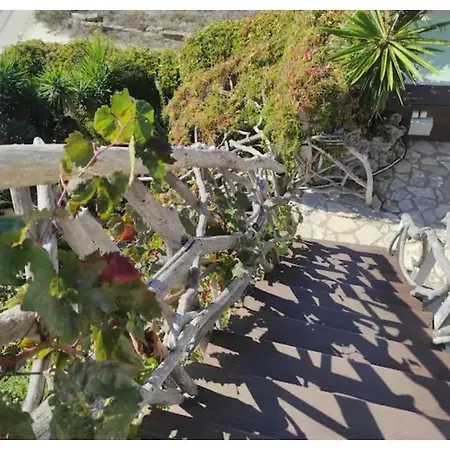 La Perla Roof Garden House *